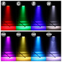 XLine Light LED PAR 1818